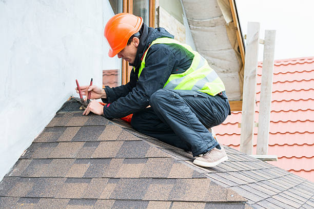 Best Roof Restoration Services  in St Louis, MI