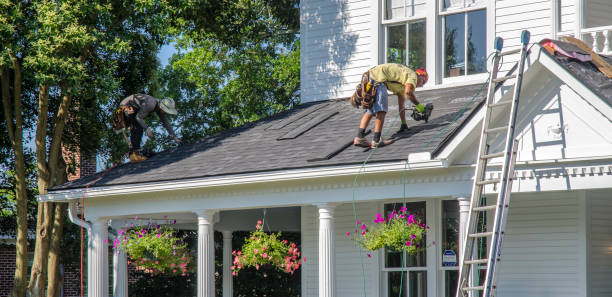Best Roof Repair Services  in St Louis, MI